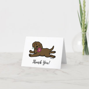 Innocent Chocolat Labrador Merci de chiot