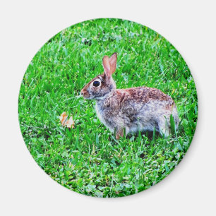 Innocent Eyes Magnet