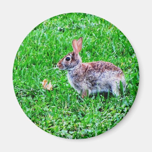 Innocent Eyes Magnet (Front)