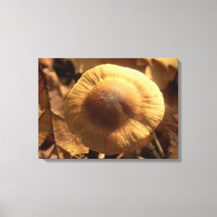 Inocybe napipes Toile de champignons Imprimer