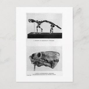 Inostrancevia alexandri art postcard