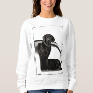 Inquisitive Black Labs - Sweatshirt