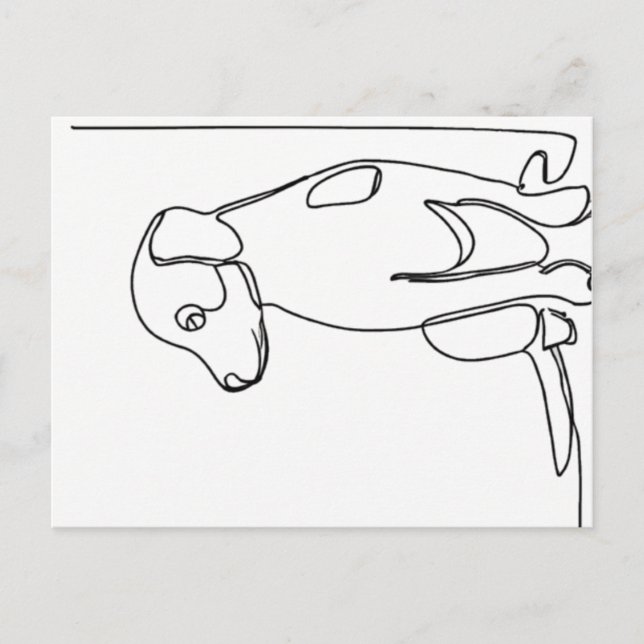 Inquisitive Dog Postcard (Front)