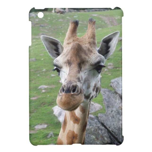 Inquisitive Giraffe iPad Mini Case (Back)
