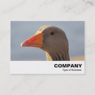 Inquisitive Goose Business Card