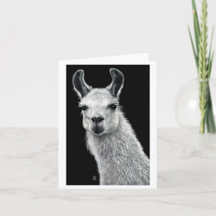 Inquisitive Llama Card