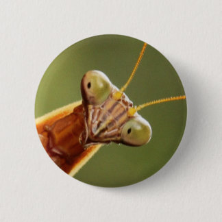 Inquisitive Mantis 2 Inch Round Button