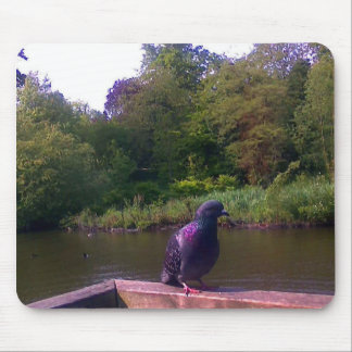 Inquisitive Pigeon Mouse Pad