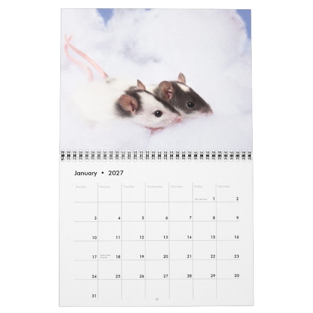 Inquisitive Ratty Calendar 2011 (Jan 2027)