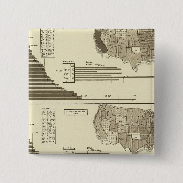 Insane, Idiotic, Blind statistical map 2 Inch Square Button (Front)