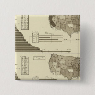 Insane, Idiotic, Blind statistical map 2 Inch Square Button