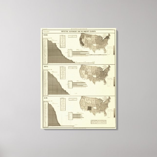 Insane, Idiotic, Blind statistical map Canvas Print (Front)