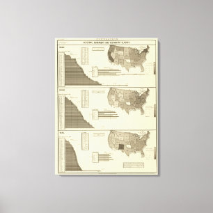 Insane, Idiotic, Blind statistical map Canvas Print