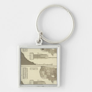 Insane, Idiotic, Blind statistical map Keychain