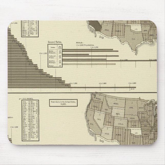 Insane, Idiotic, Blind statistical map Mouse Pad (Front)