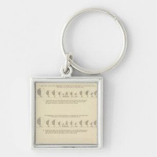 Insane, Statistical US Lithograph 1870 Keychain