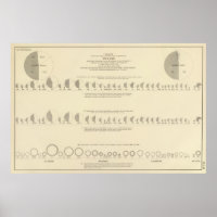 Insane, Statistical US Lithograph 1870