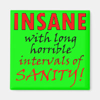 Insane With Intervals Of Sanity Funny Magnet