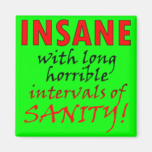Insane With Intervals Of Sanity Funny Magnet