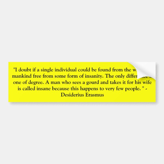 insanity bumper sticker (Front)