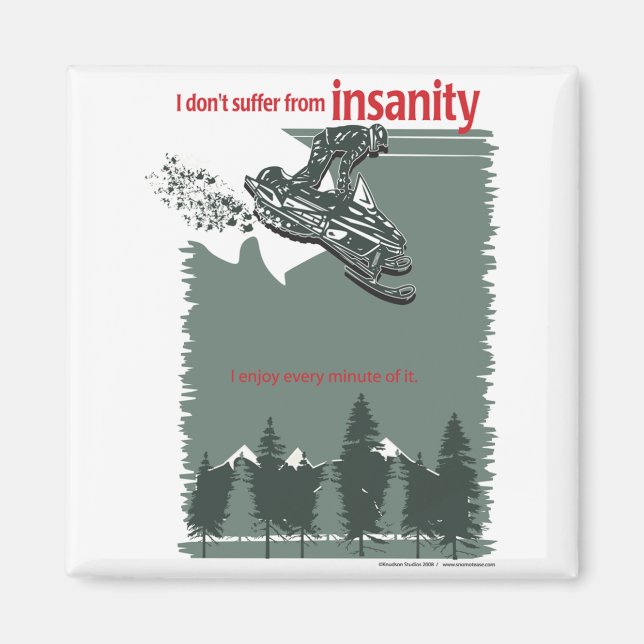 insanity-[Converted] Magnet (Front)