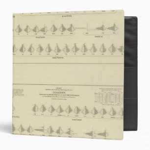Insanity, Statistical US Lithograph Binder