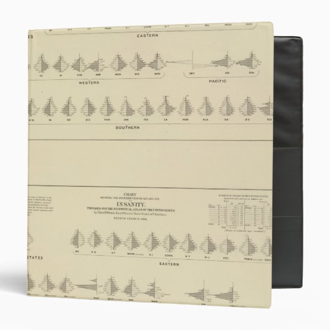 Insanity, Statistical US Lithograph Binder (Front/Inside)