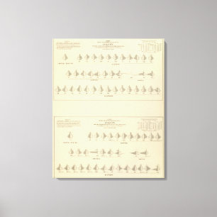 Insanity, Statistical US Lithograph Canvas Print