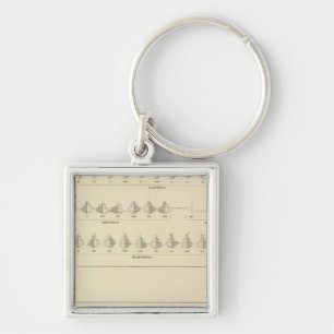 Insanity, Statistical US Lithograph Keychain