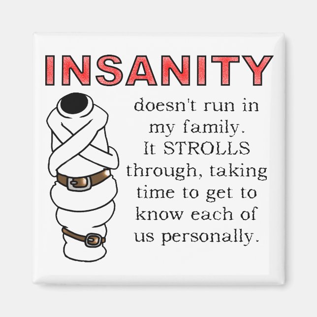 Insanity Strolls Funny Fridge Magnet (Front)