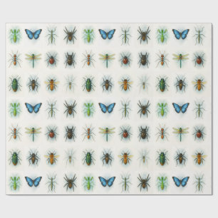 Insect collection watercolor paintings bug art  wrapping paper
