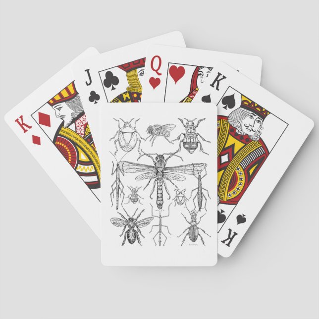 Insect Design Playing Cards (Back)