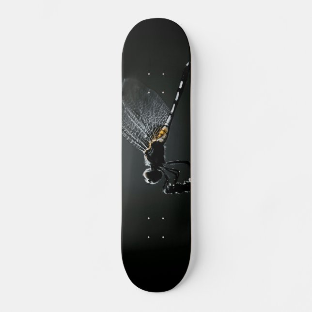 Insect - Dragonfly Wings Skateboard (Front)