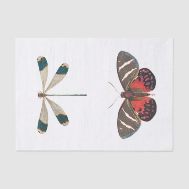 Insect garden decoupage tissue paper (Front)