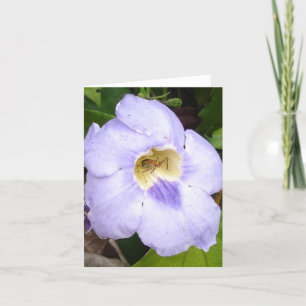 Insect in Residence floral card v2