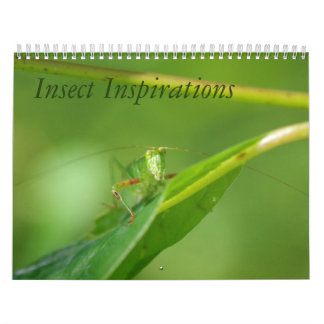 Insect Inspirations Calendar