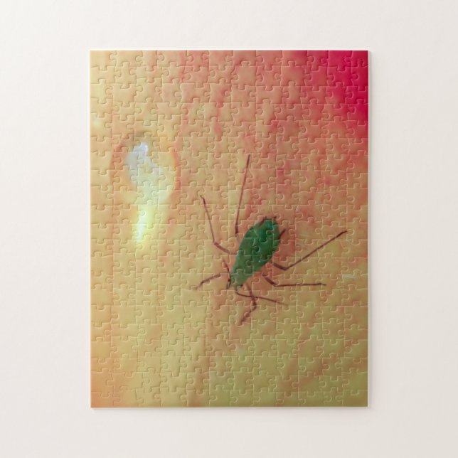 Insect Jigsaw Puzzle (Vertical)