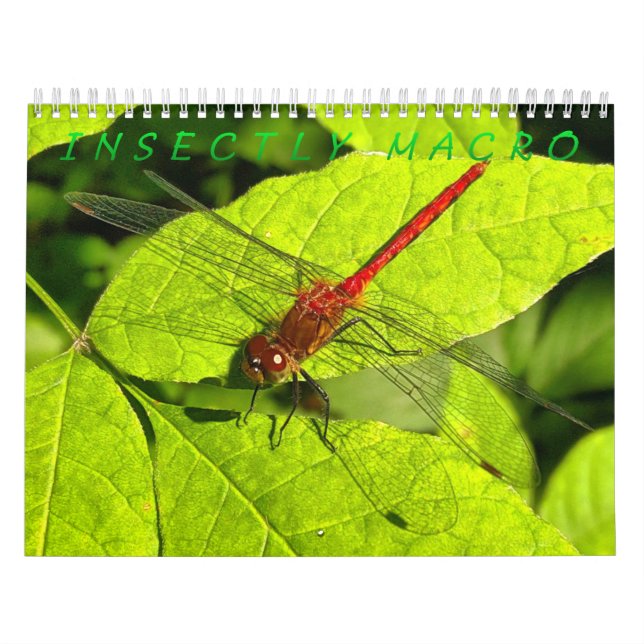 Insect Macro Photography Calendar (Cover)
