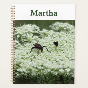 Insect on Elderflower Planner