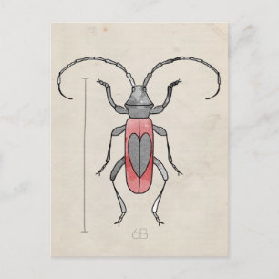 Insect Series   Red Beetle Postcard