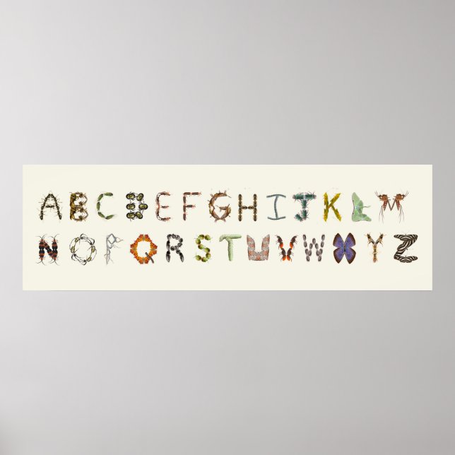 Insecte ou alphabet de bogues de décoration (Devant)
