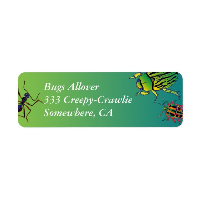 'Insectes' (Devant)