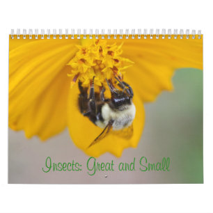 Insectes : Calendrier grand et petit