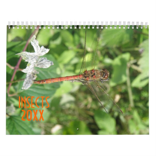 Insectes Calendrier personnalisé (Protection)