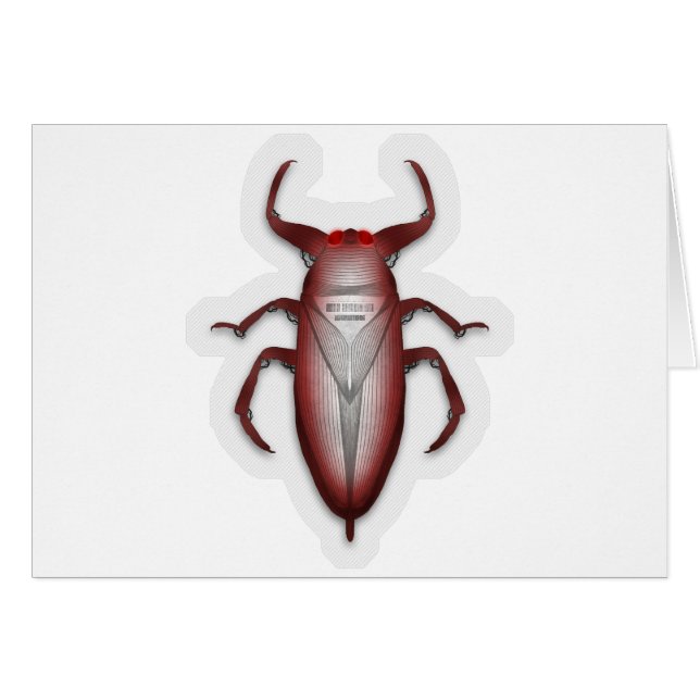 Insectes dans le code… (Devant horizontal)