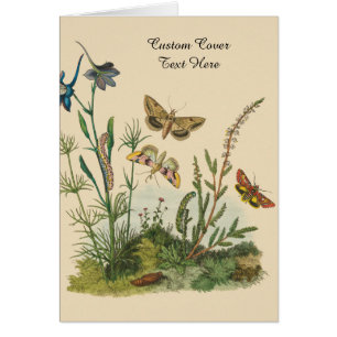 Insectes de jardin vintage, papillons, chenilles