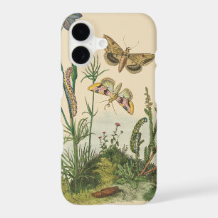 Insectes de jardin vintage, papillons, chenilles
