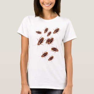 Insectes et T-shirt de cancrelats