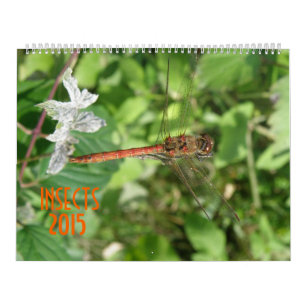 Insects 2015 Calendar