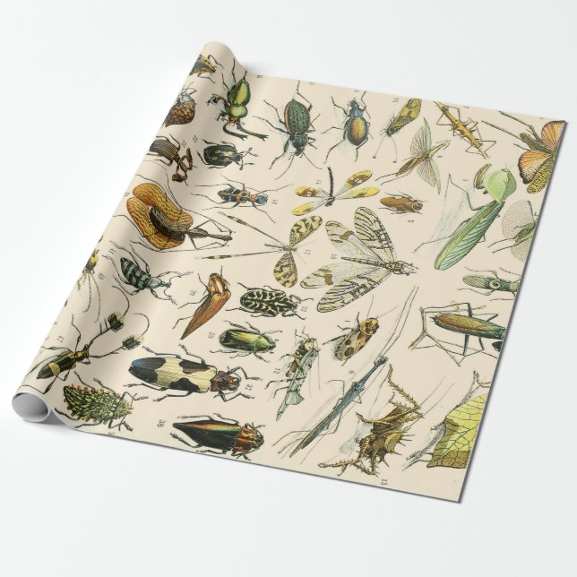 Insects and Bugs Wrapping Paper (Unrolled)